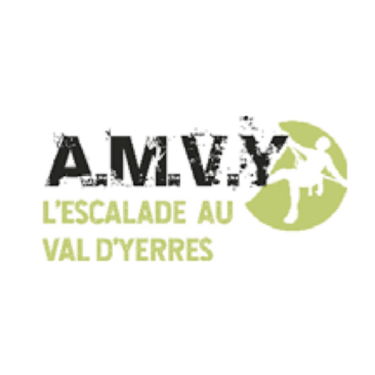 AMVY logo